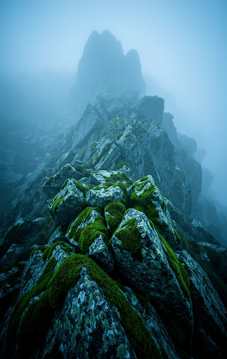 Alpines Urgestein im Nebel